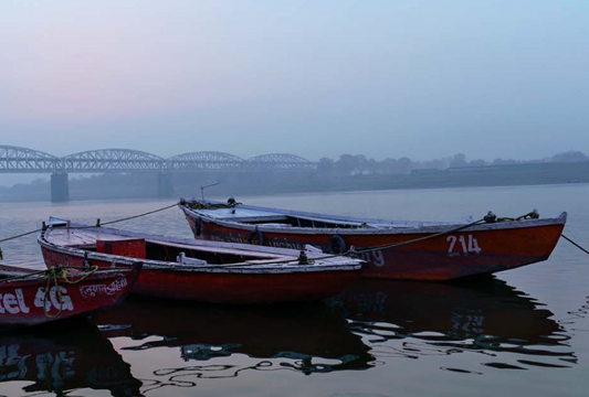 From Fleece to Floor