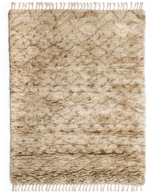 Hand-Knotted Modern Rug (AR-2)
